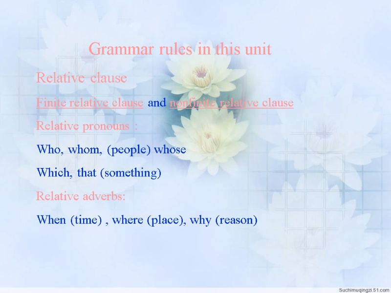Grammar rules in this unit Relative clause Finite relative clause and nonfinite relative clause